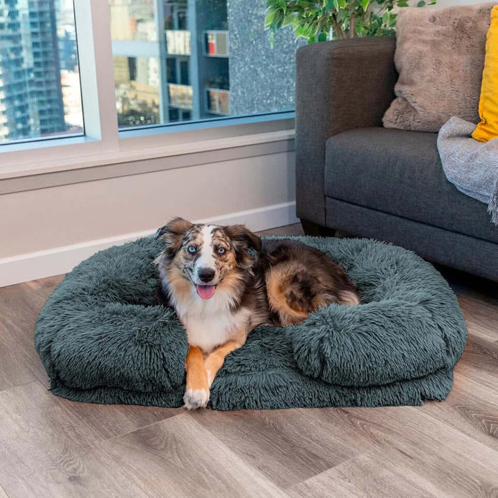 Lit orthopédique pour chien avec mousse à mémoire de forme