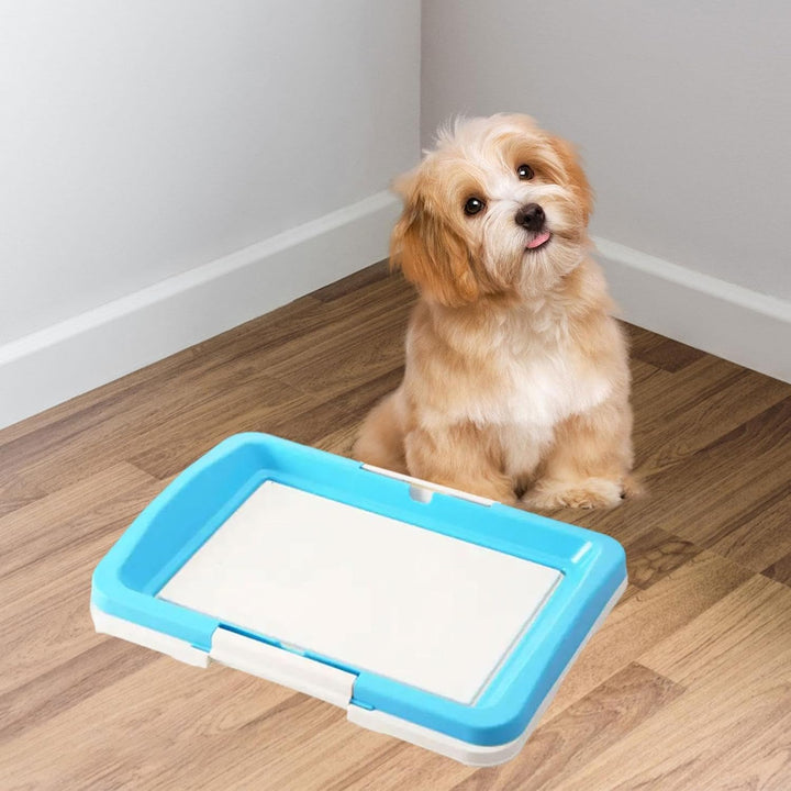 Hunde-WC Indoor - Rutschfeste Matte & Hygienisch Für Innen