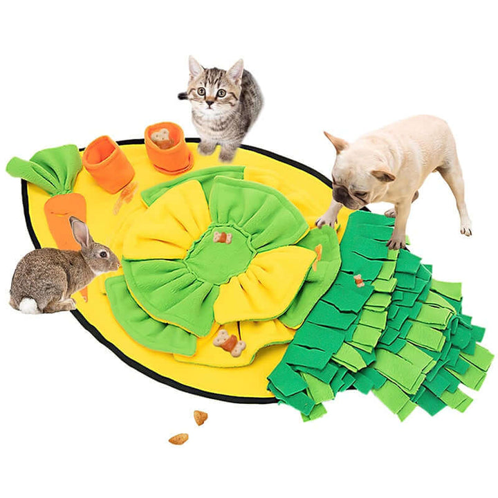 Tapis de reniflage interactif pour chien