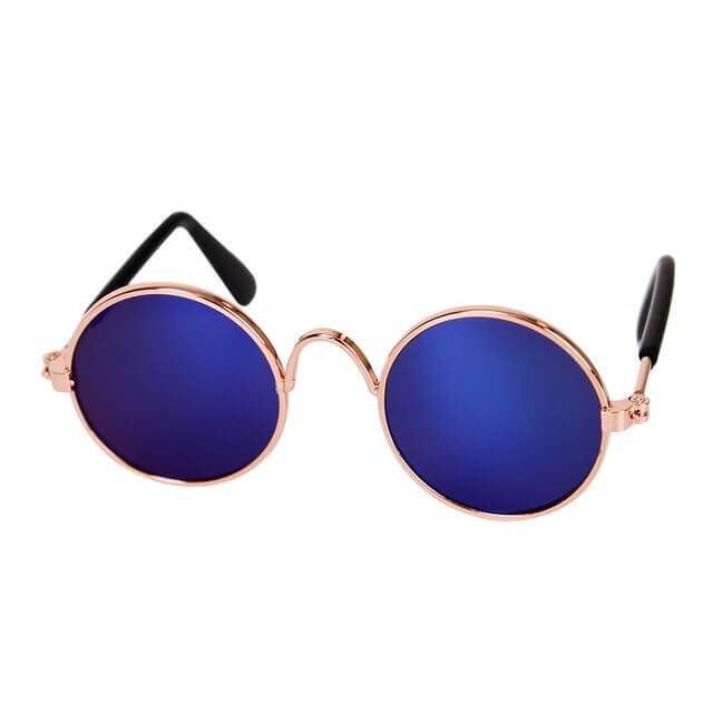 Lunettes tendance pour chat - KittyShades