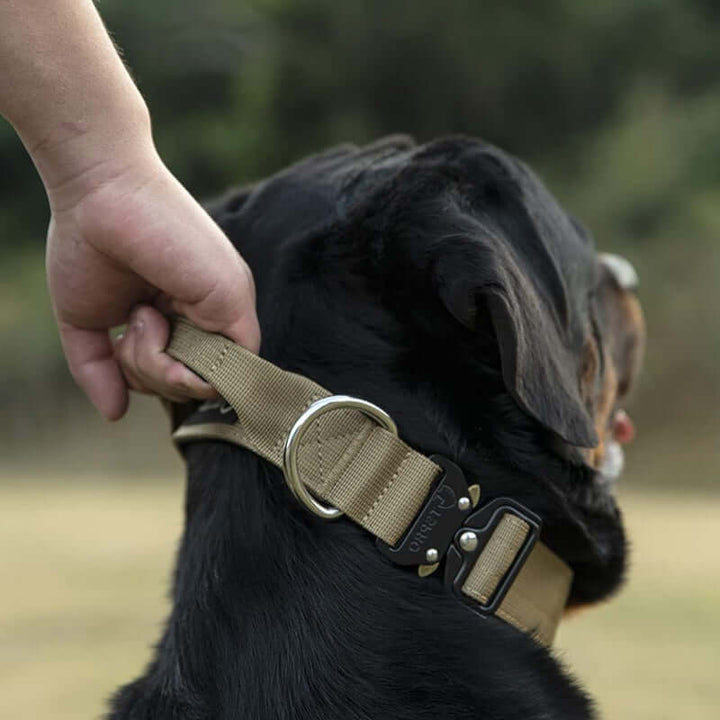 Collier tactique pour chien avec poignée - Robuste et sûr