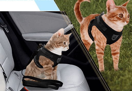Ausbruchsicheres Katzengeschirr mit Leine