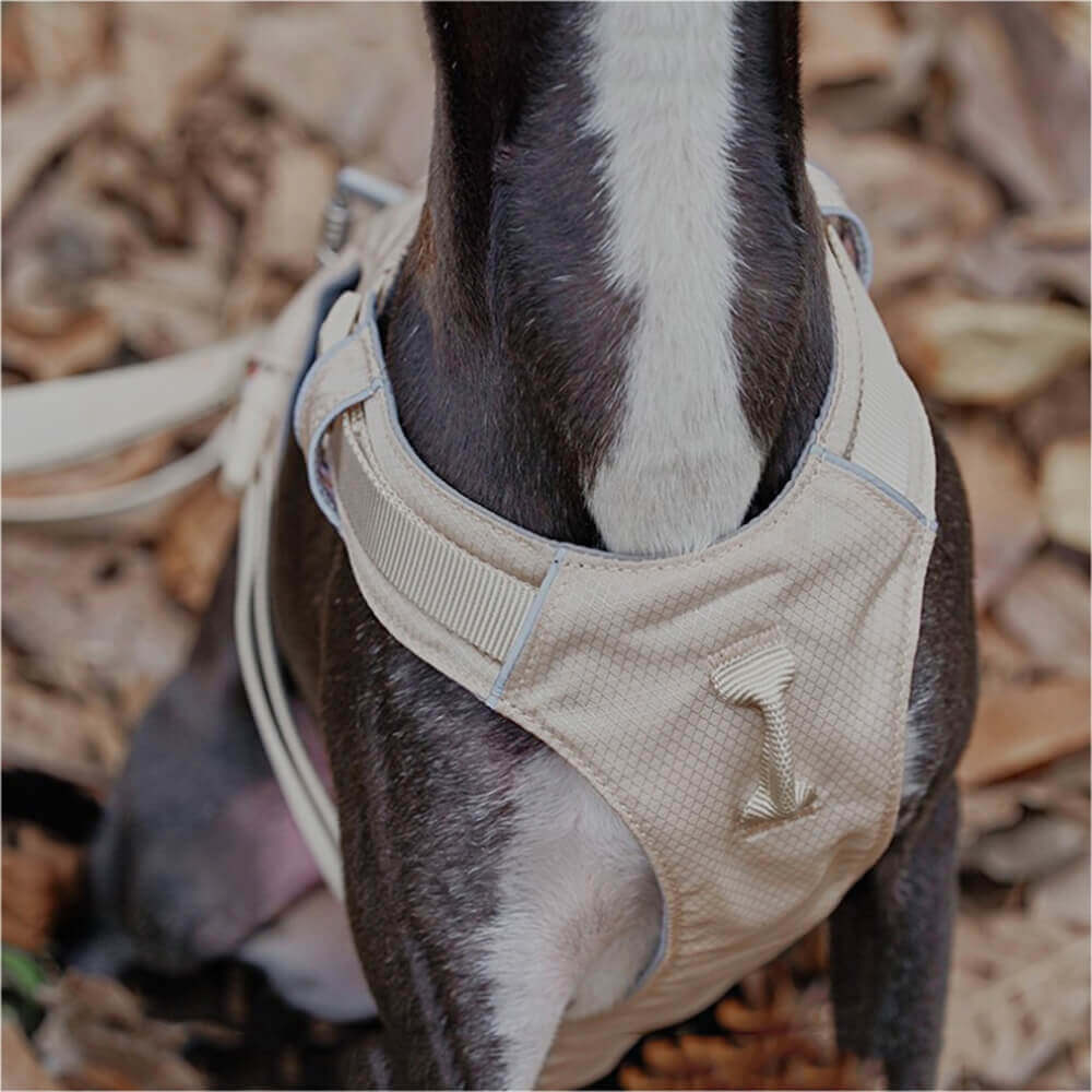 AquaCool Hundegeschirr & Leine Set - Anti-Zieh & Wasserdicht