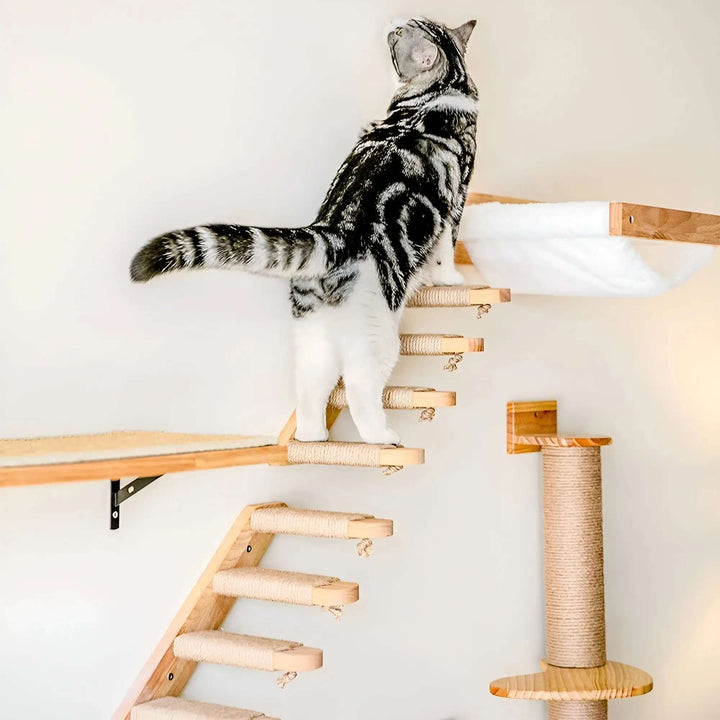 Wandkletterbrett mit Kratzsäule für Katzen