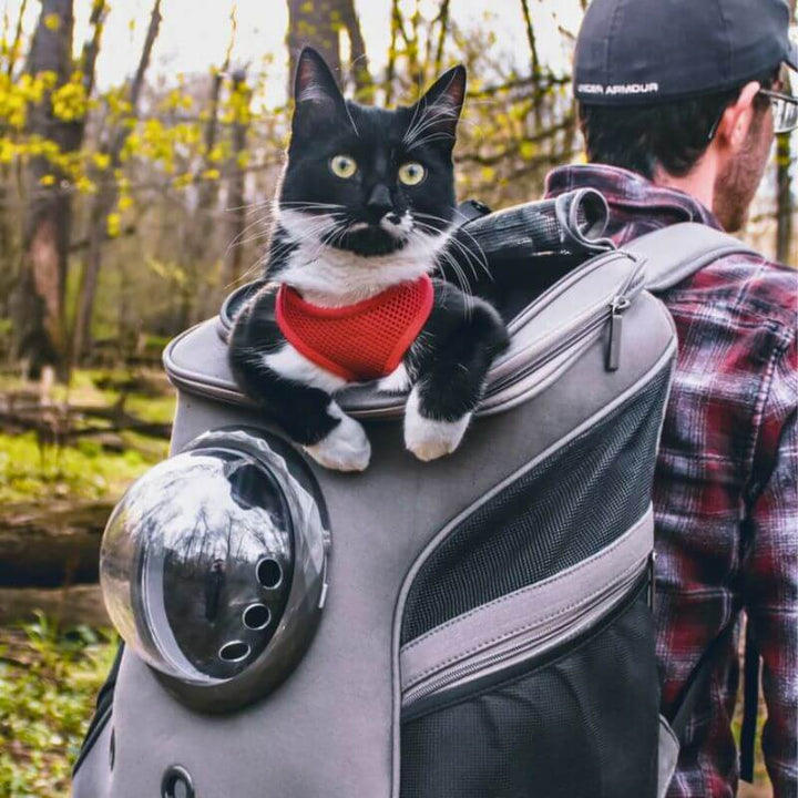 Sac de transport pour chat, pratique et pliable