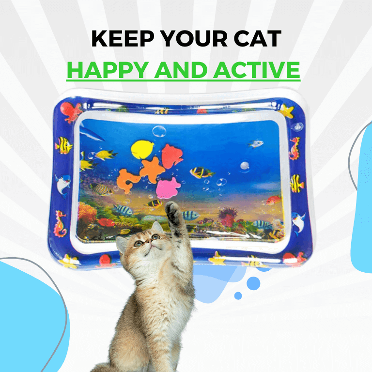 Tapis de jeu d'eau interactif pour chats