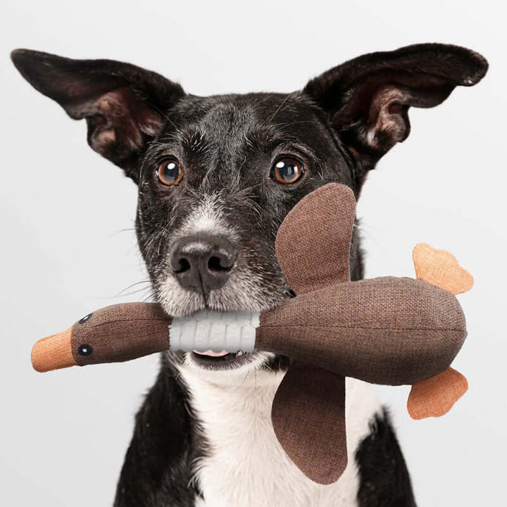 Jouet robuste pour chien, jouet à mâcher