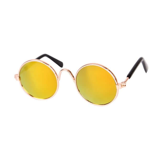 Lunettes tendance pour chat - KittyShades