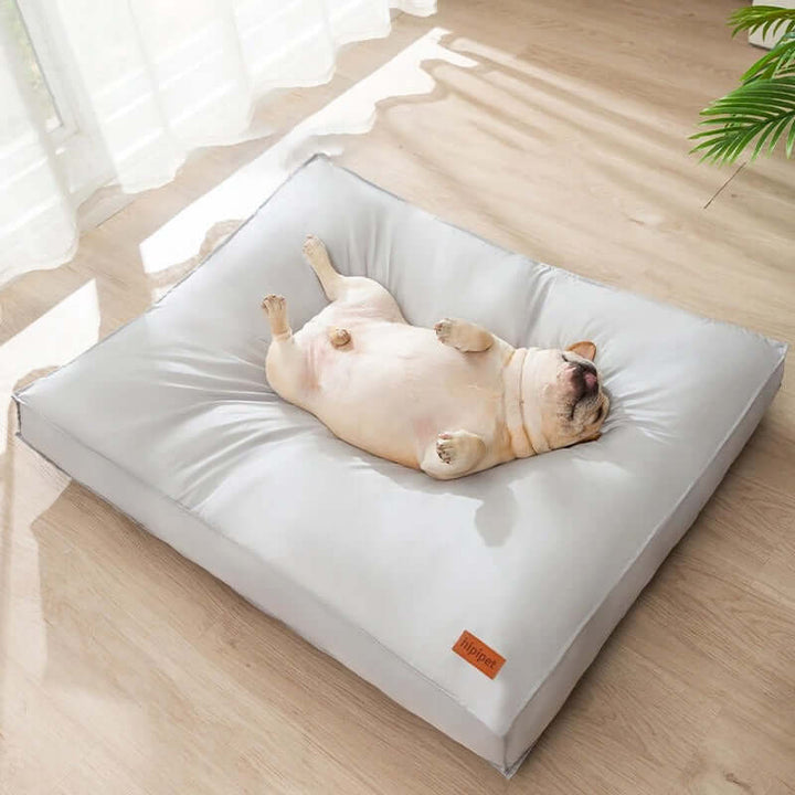 Lit orthopédique pour chien imperméable et confortable