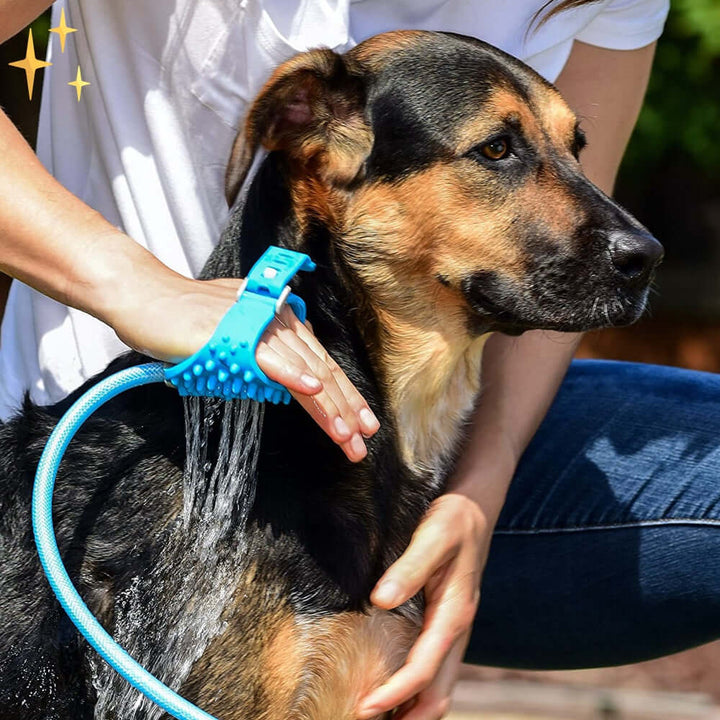 Hunde-Waschhandschuh mit Bürste 2-in-1