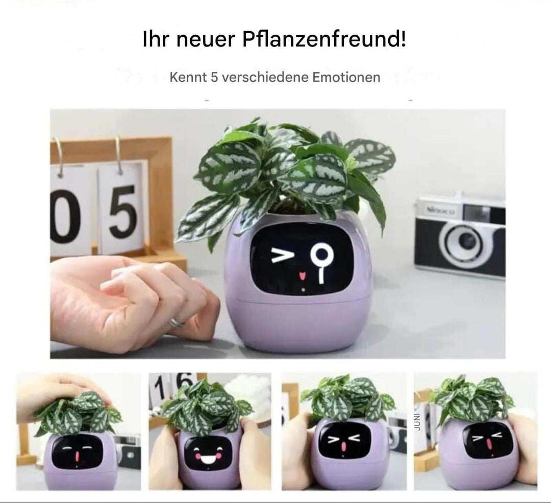 Intelligenter Selbstbewässernder Blumentopf