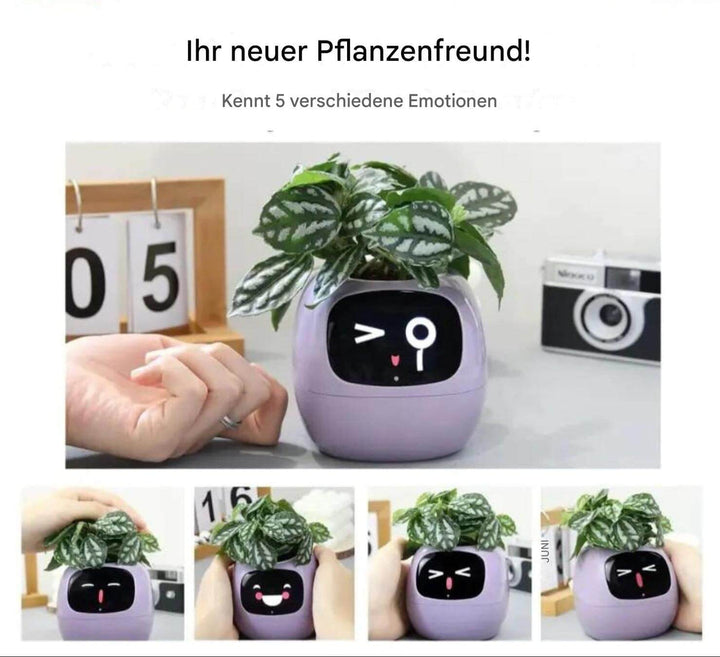 Intelligenter Selbstbewässernder Blumentopf