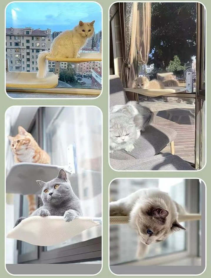 Hamac mural pour chats - vue panoramique