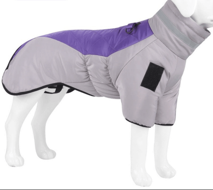 Veste imperméable pour chien de taille moyenne