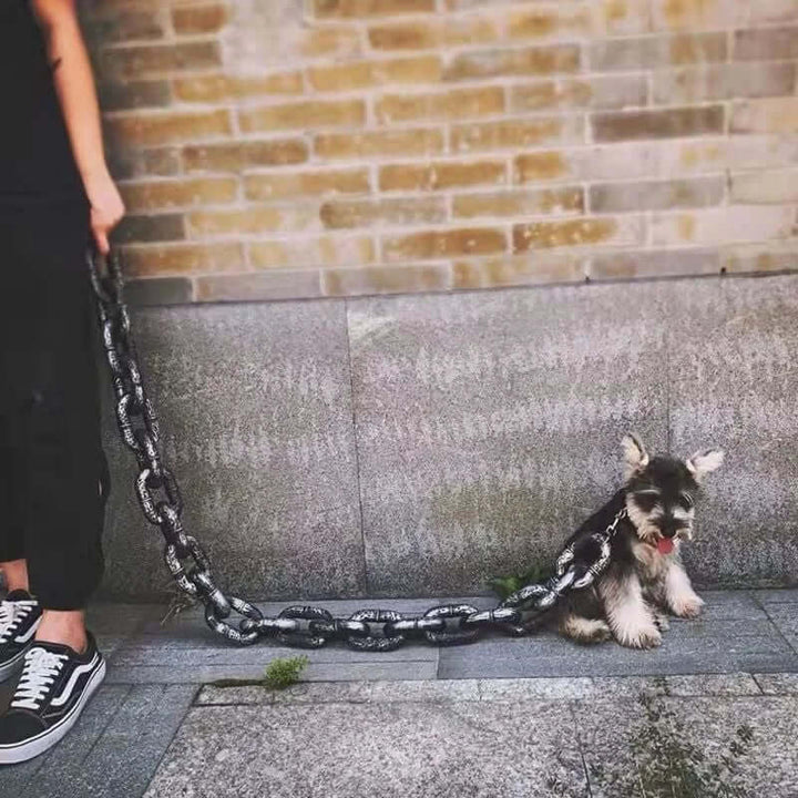 Laisse pour chien au look tendance et robuste