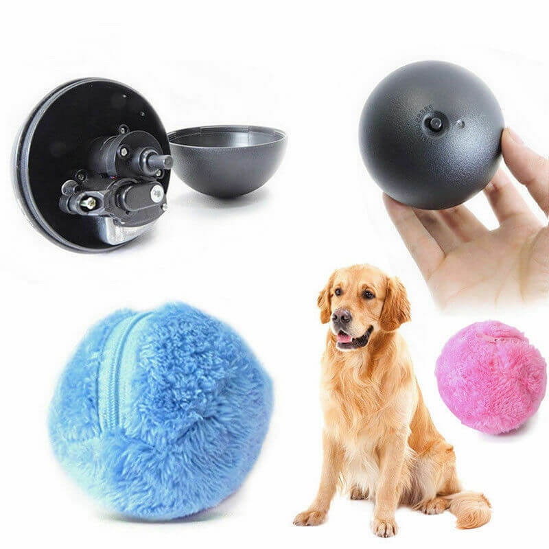 Balle interactive auto-roulante pour chien
