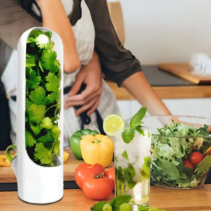 Kräuterbox Frisch Kräuter Aufbewahrung Kräuterbehälter Küche