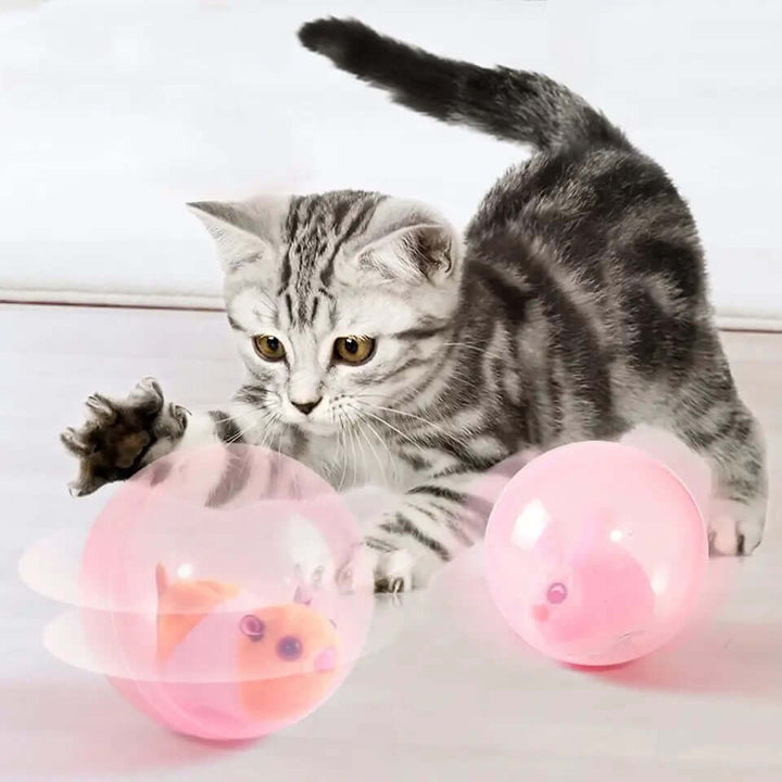 Jouet roulant pour chat - FurryRoller