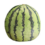 Wassermelone