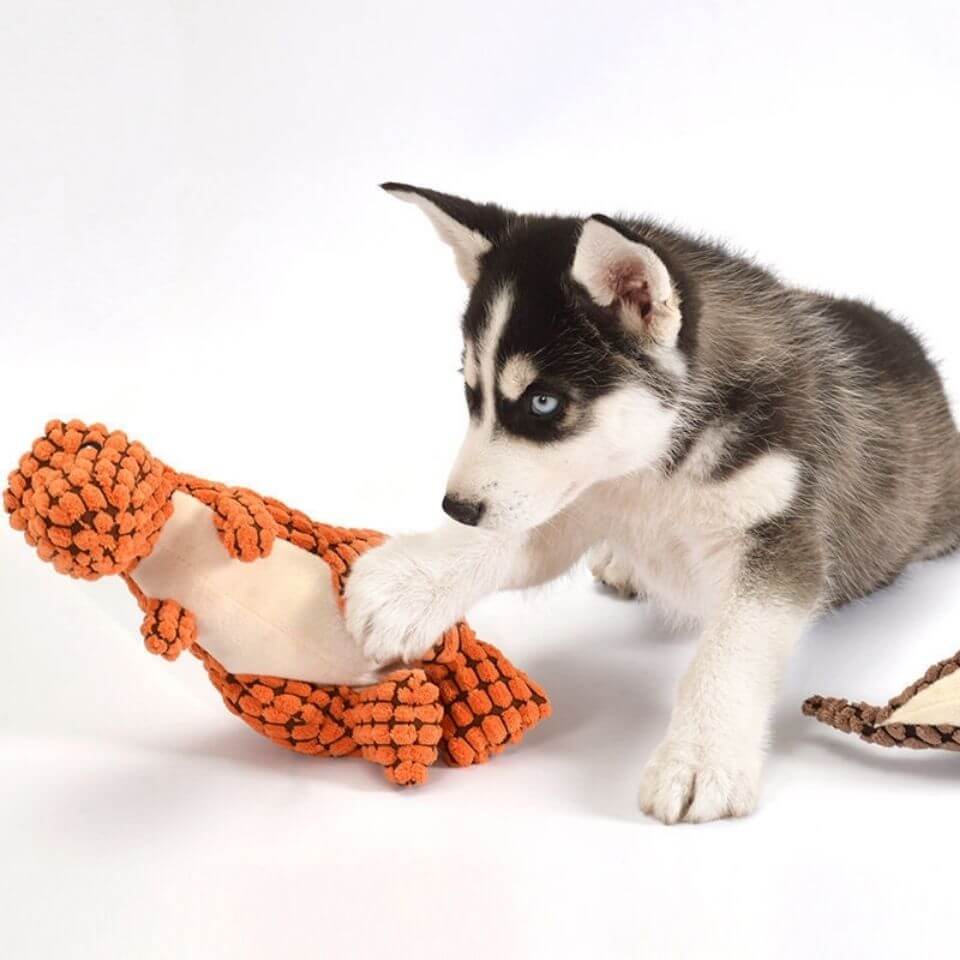 Peluche dinosaure pour chiens et chats