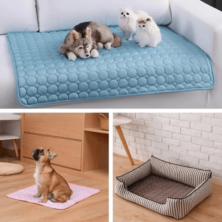 Tapis rafraîchissant pour animaux de compagnie - Tapis d'été pour chiens et chats