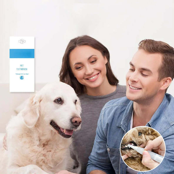 Stylo de soins dentaires pour chiens et chats