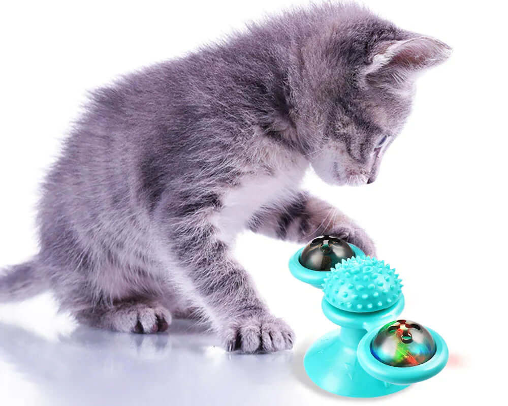 Moulin à vent interactif avec balles pour chat
