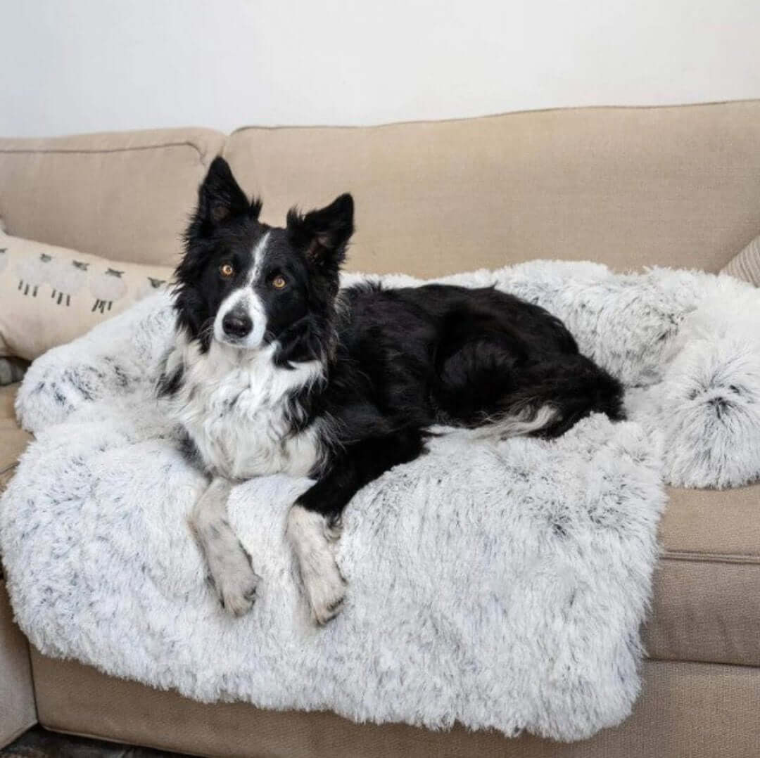 Canapé confortable pour chien et animal de compagnie