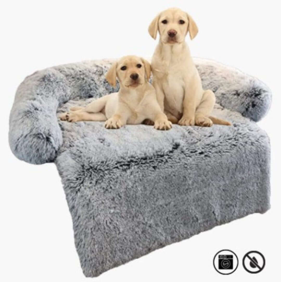 Canapé confortable pour chien et animal de compagnie