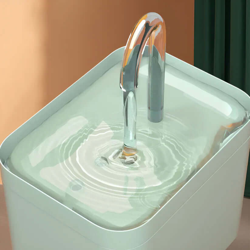 Fontaine à eau automatique pour chats