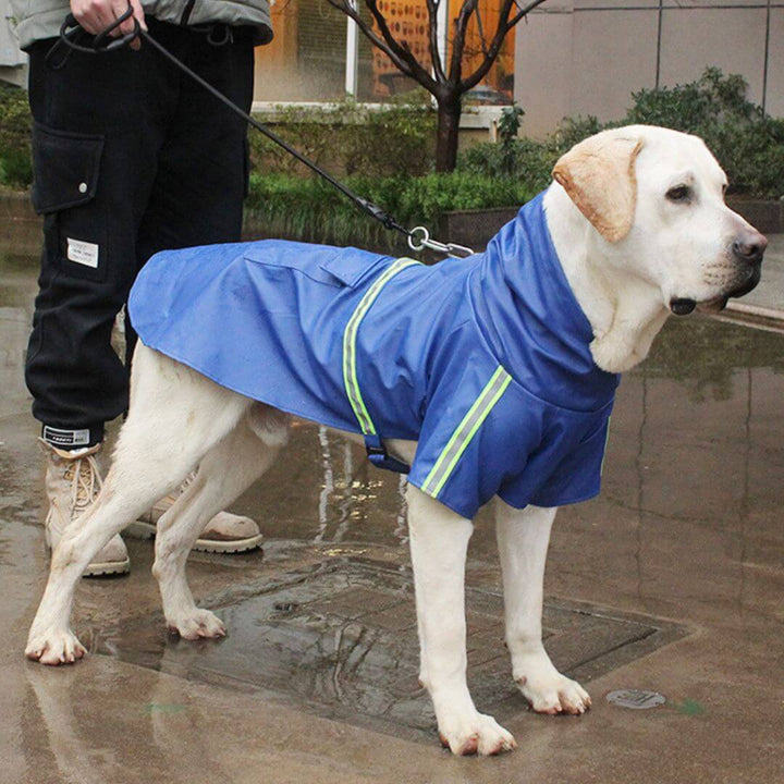 Veste imperméable pour chien pour tous les temps