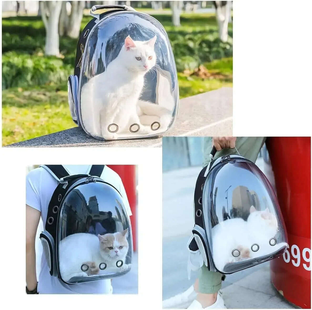 Sac à dos de transport transparent pour animaux de compagnie
