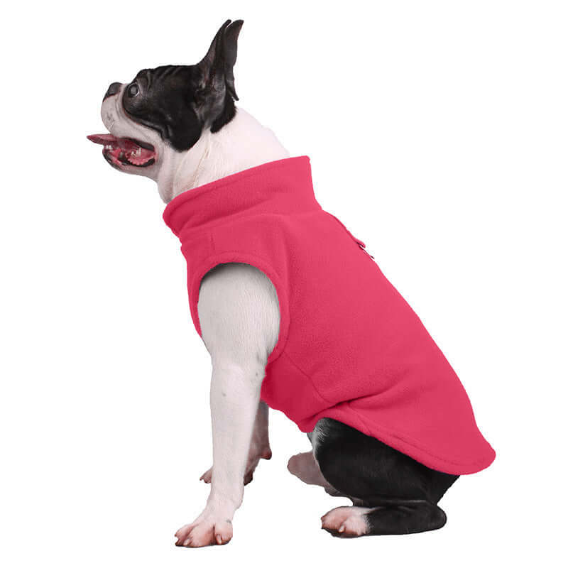 Veste robuste pour chien pour toutes les saisons