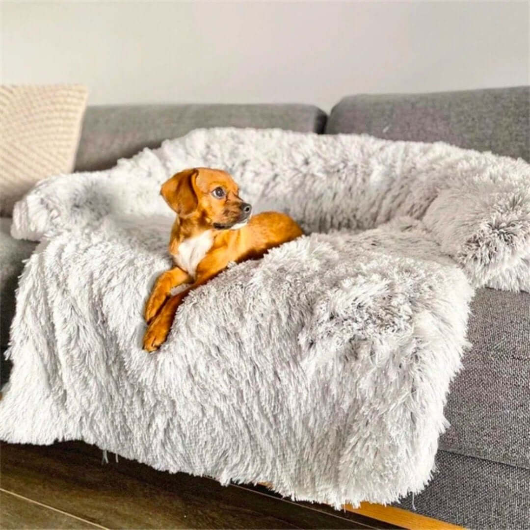 Canapé confortable pour chien et animal de compagnie