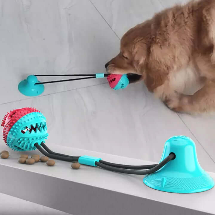 Jouet à tirer robuste pour chien avec ventouse