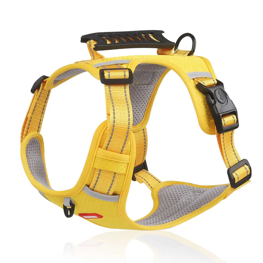 Harnais anti-traction pour chien Confort et sécurité