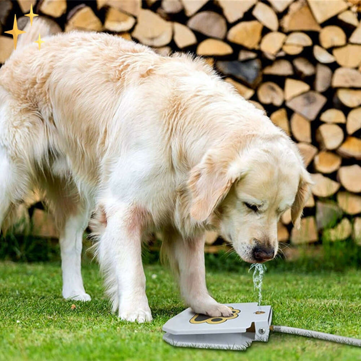 Interaktives Hundespielzeug Wasserfontäne