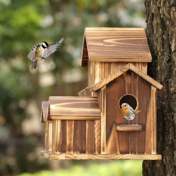 6-Loch Vogelhaus Holz - Handgefertigt