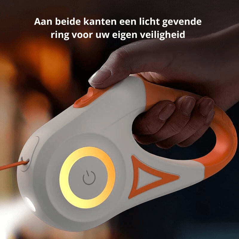 Laisse pour chien LED avec lampe de poche, 5 m, laisse lumineuse