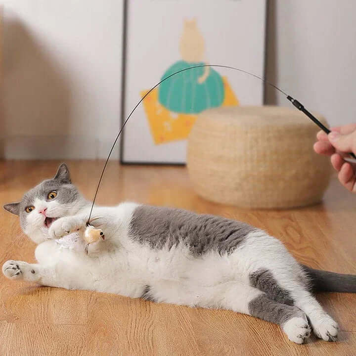 Jouet interactif pour chat - Oiseau à plumes