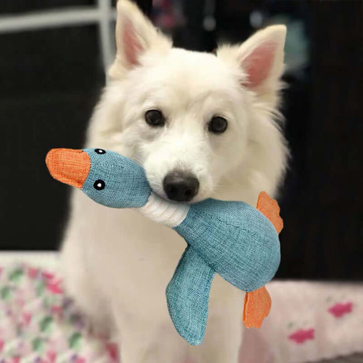 Jouet robuste pour chien, jouet à mâcher