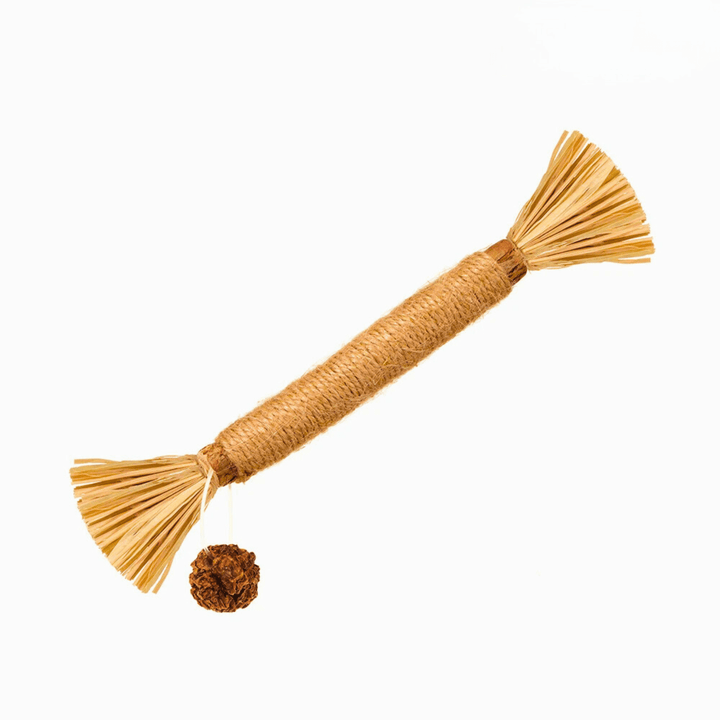 Bâtonnets à mâcher pour chat - Lot de 5 - Silvervine naturel