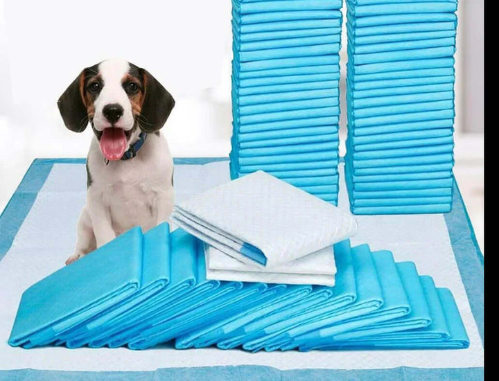Tapis d'entraînement absorbants pour chiots - Paquet de 100