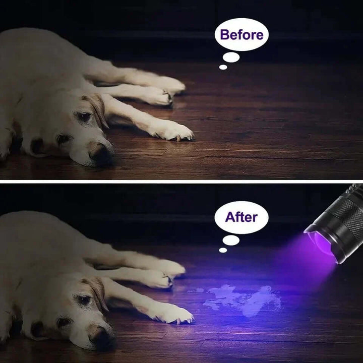 UV-Taschenlampe LED - Schwarzlichtlampe für Flecken