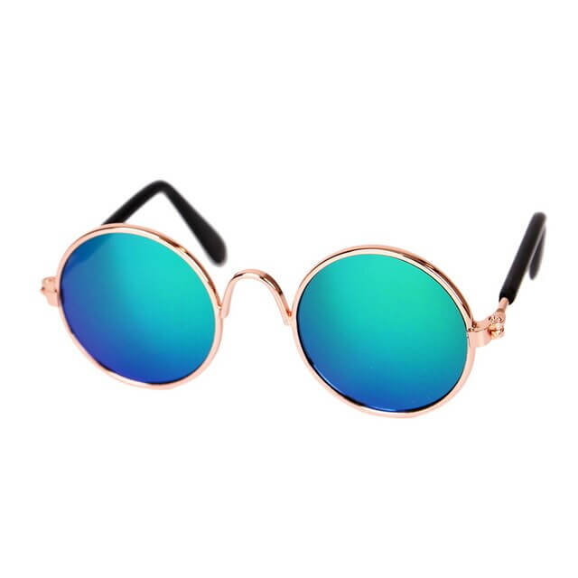 Lunettes tendance pour chat - KittyShades
