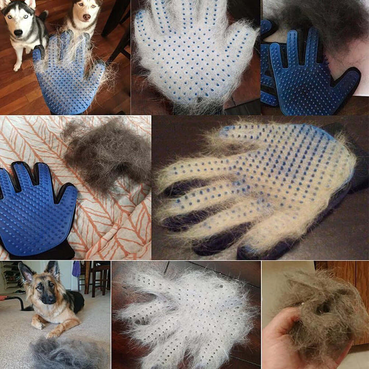 Tierhaarentfernung Handschuh - Hunde & Katzen
