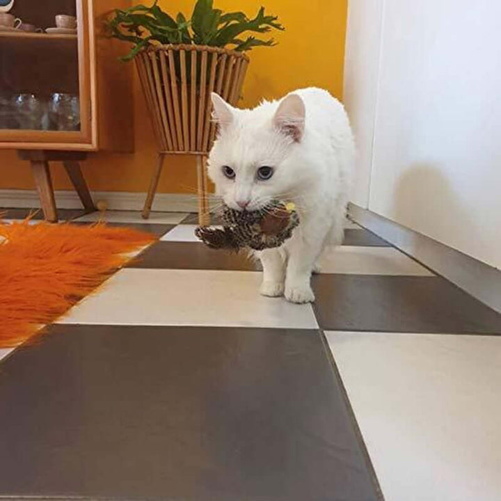 Jouet interactif pour chat oiseau avec sons