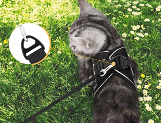 Ausbruchsicheres Katzengeschirr mit Leine