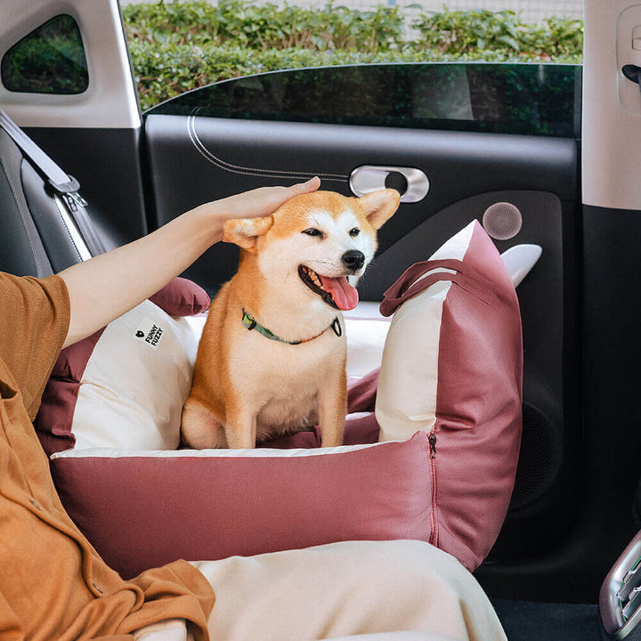 Panier de voiture sécurisé pour chien avec coussin de protection