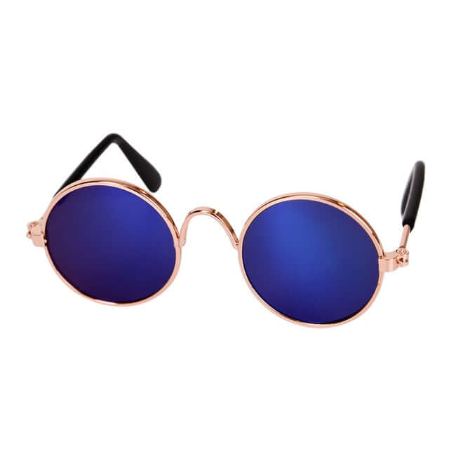 Lunettes tendance pour chat - KittyShades